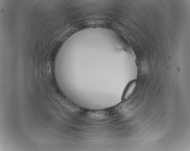 X0000072500567200608041444