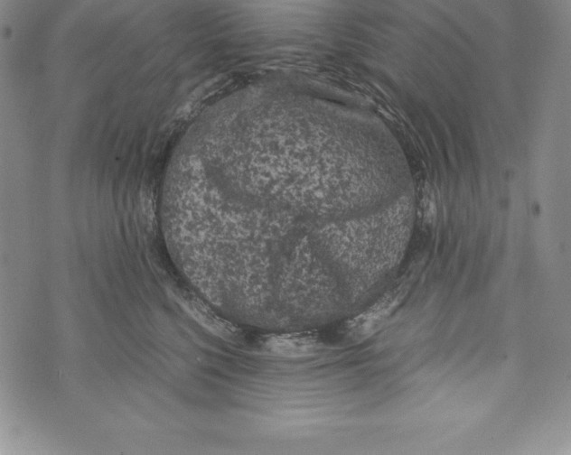 X0000072500568200608041444