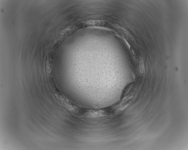 X0000072500569200608041444