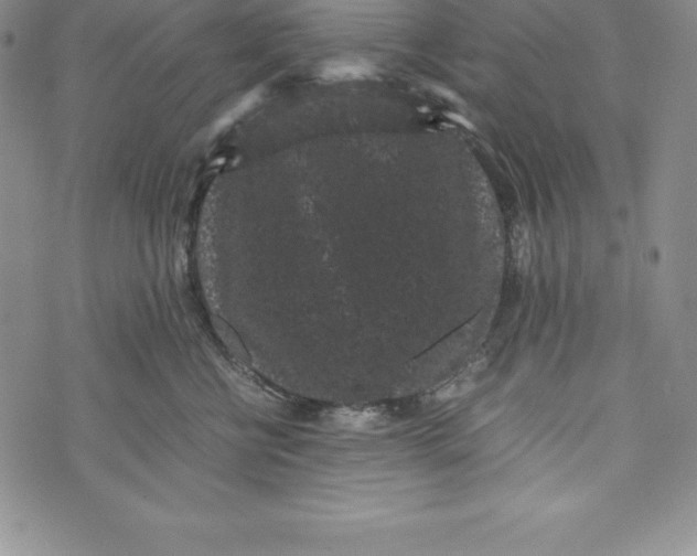 X0000072500570200608041444