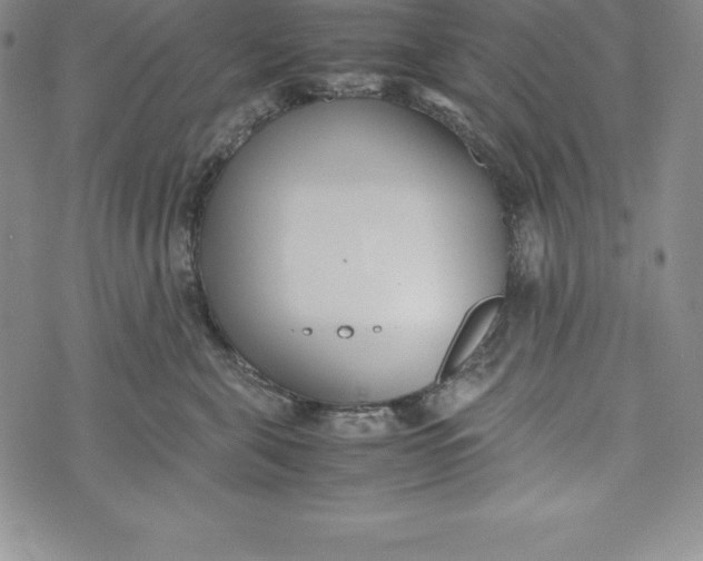 X0000072500571200608041444