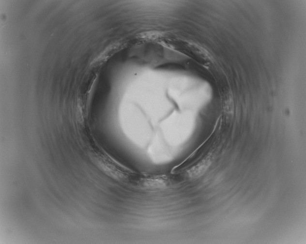 X0000072500572200608041444