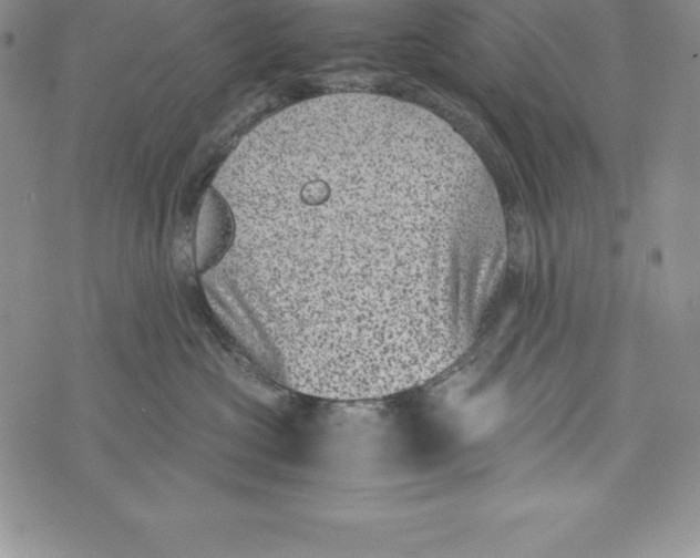 X0000072500573200608041444