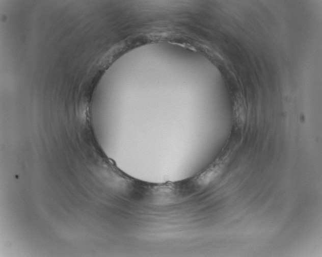 X0000072500574200608041444