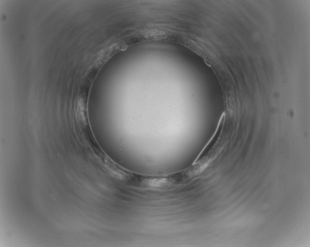 X0000072500575200608041444