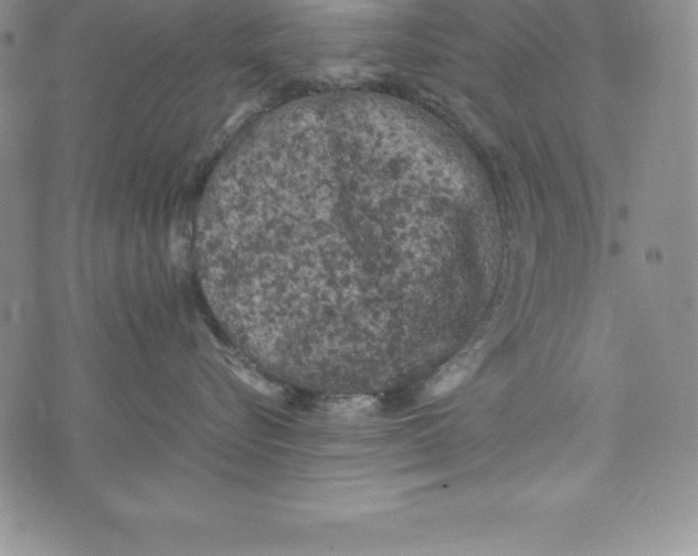 X0000072500576200608041444