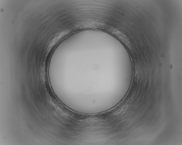 X0000072500578200608041443