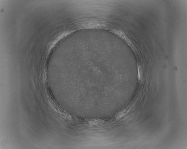 X0000072500579200608041443