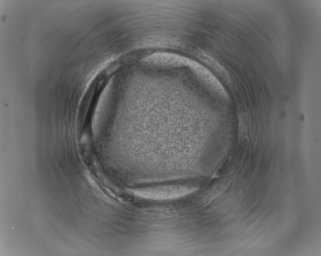 X0000072500580200608041443