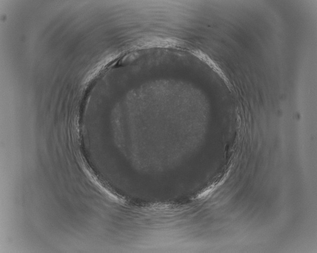 X0000072500581200608041443