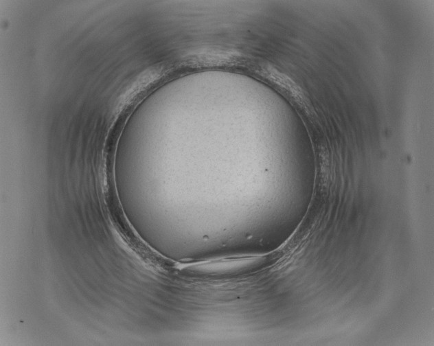 X0000072500582200608041443