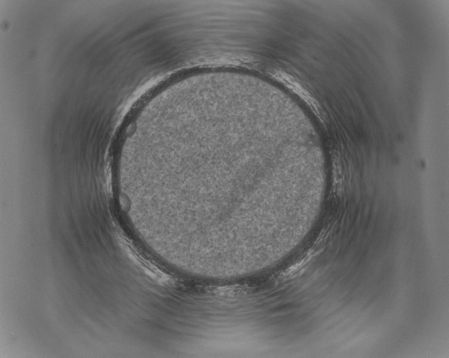 X0000072500584200608041443