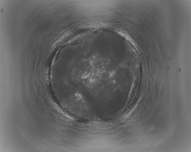 X0000072500585200608041443