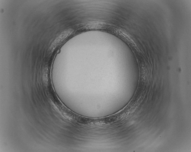 X0000072500586200608041443