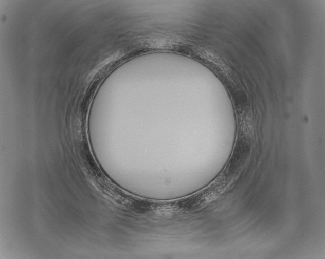 X0000072500587200608041443