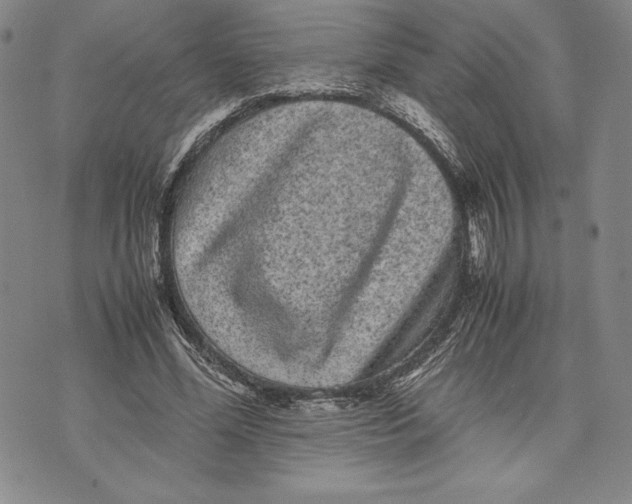 X0000072500588200608041443