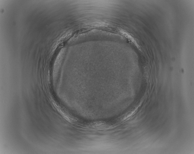 X0000072500589200608041443