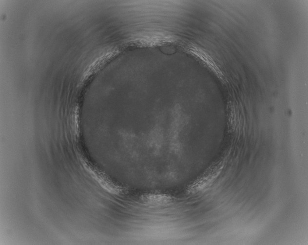 X0000072500590200608041443