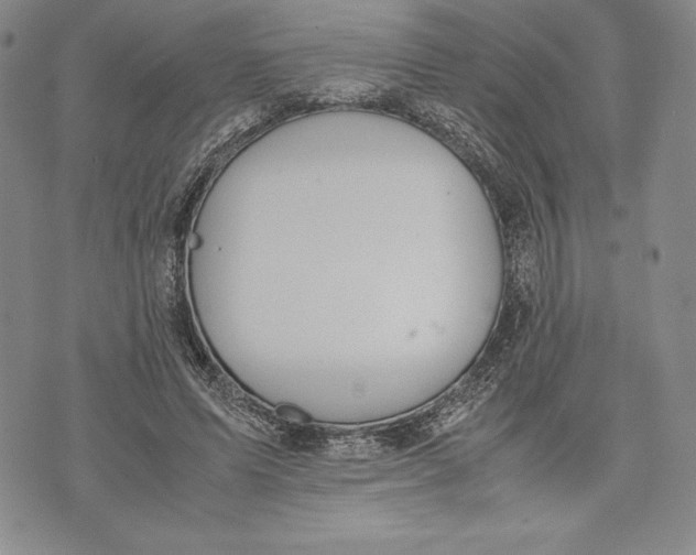 X0000072500591200608041443