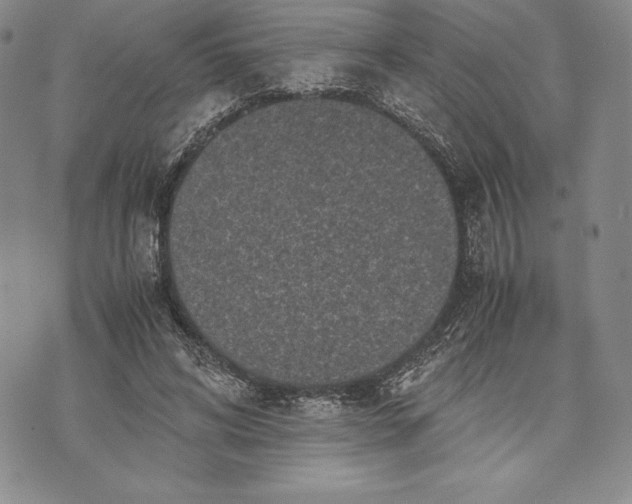 X0000072500592200608041443