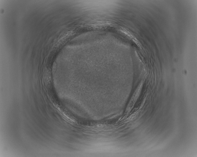 X0000072500593200608041443