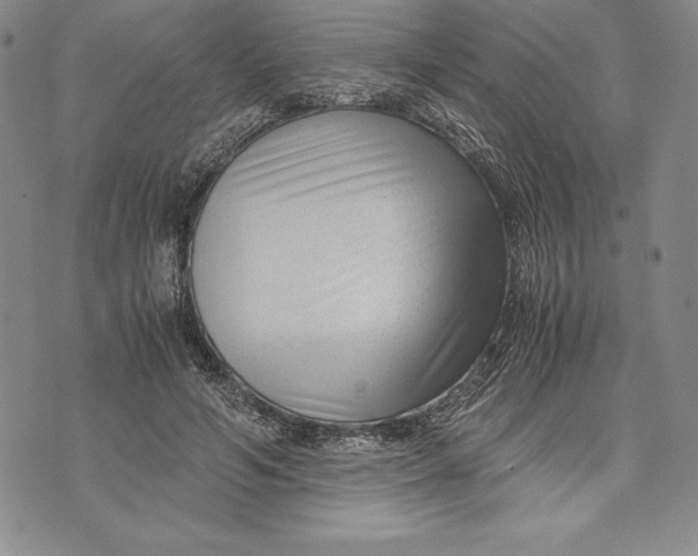 X0000072500594200608041443