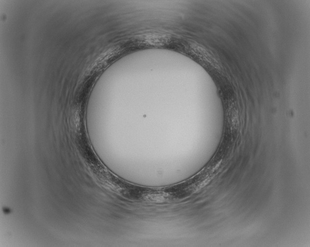 X0000072500595200608041443