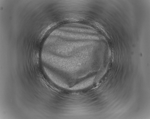 X0000072500596200608041443