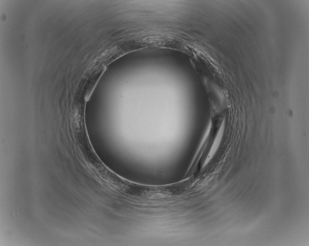 X0000072500597200608041443