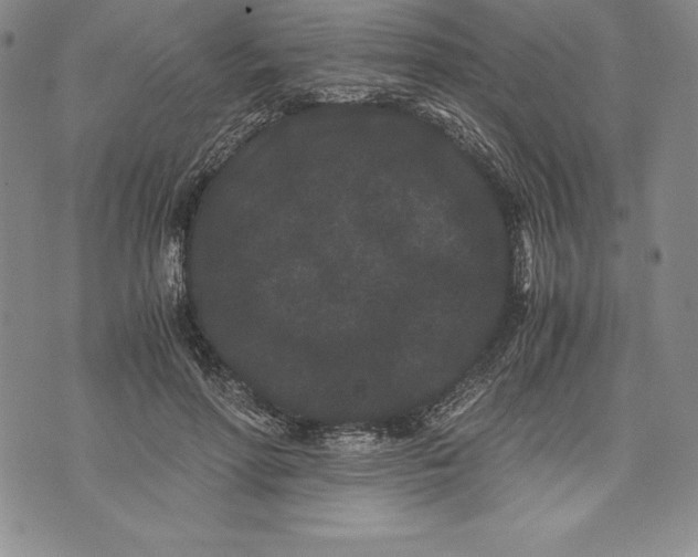 X0000072500598200608041443