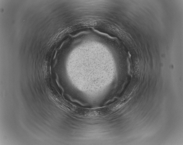 X0000072500600200608041443