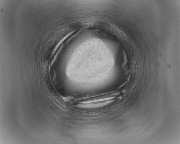 X0000072500601200608041443