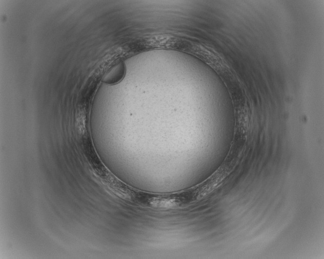 X0000072500602200608041443