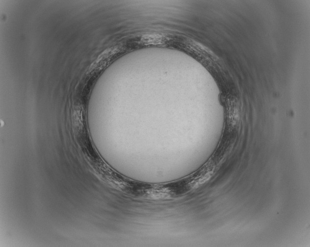 X0000072500603200608041443