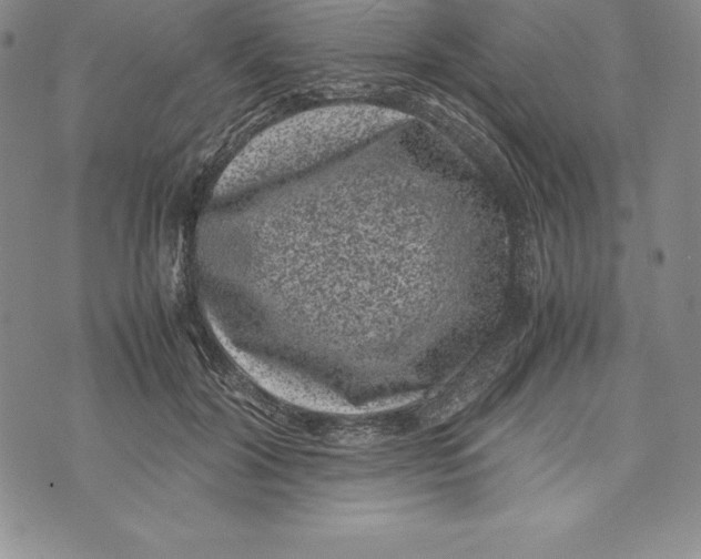 X0000072500604200608041443