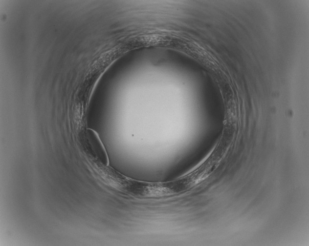 X0000072500605200608041443