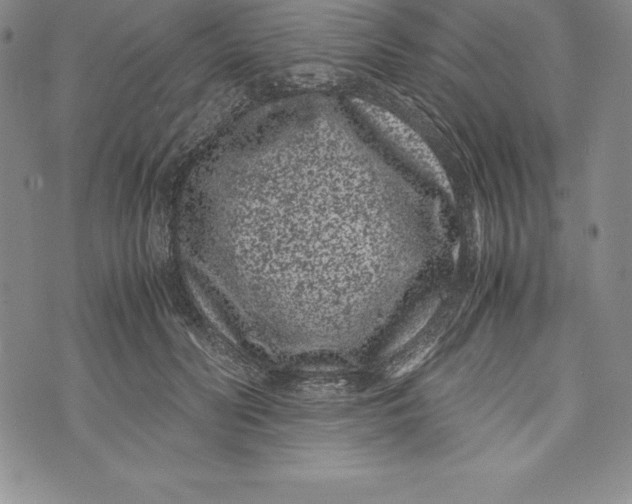 X0000072500606200608041443