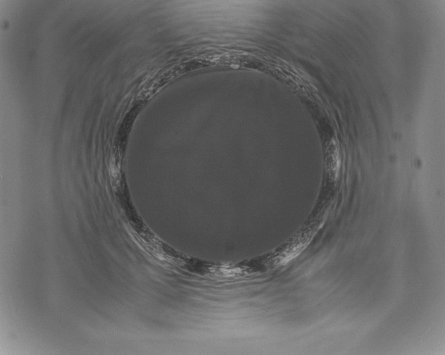 X0000072500607200608041443