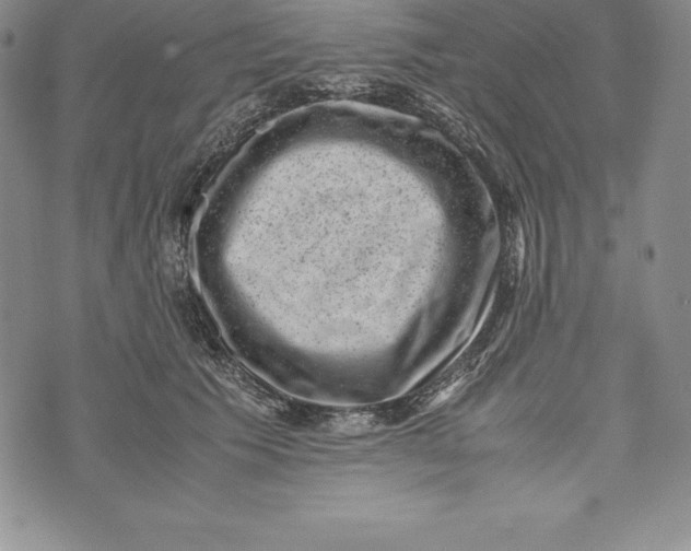 X0000072500609200608041443