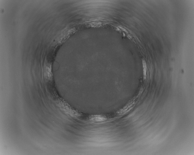 X0000072500610200608041443