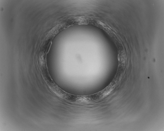 X0000072500611200608041443