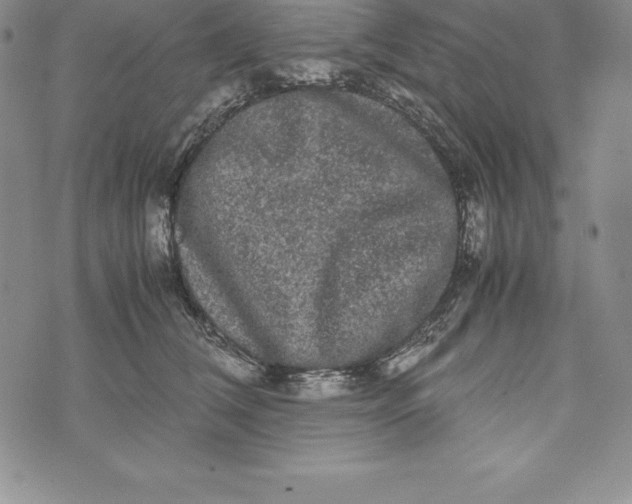 X0000072500612200608041443