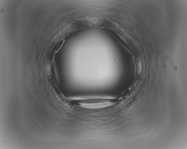 X0000072500613200608041443