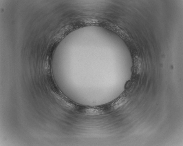 X0000072500614200608041443