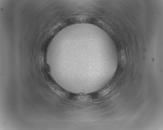 X0000072500615200608041443