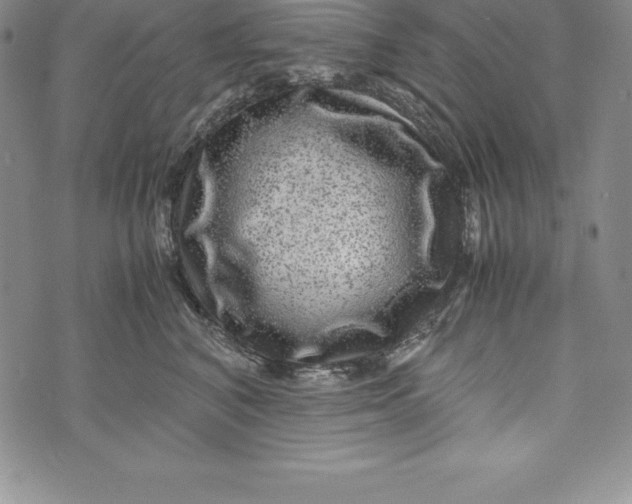 X0000072500616200608041443