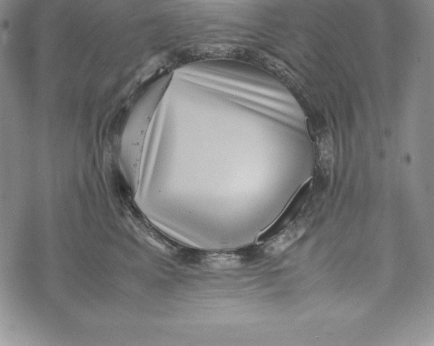 X0000072500617200608041443