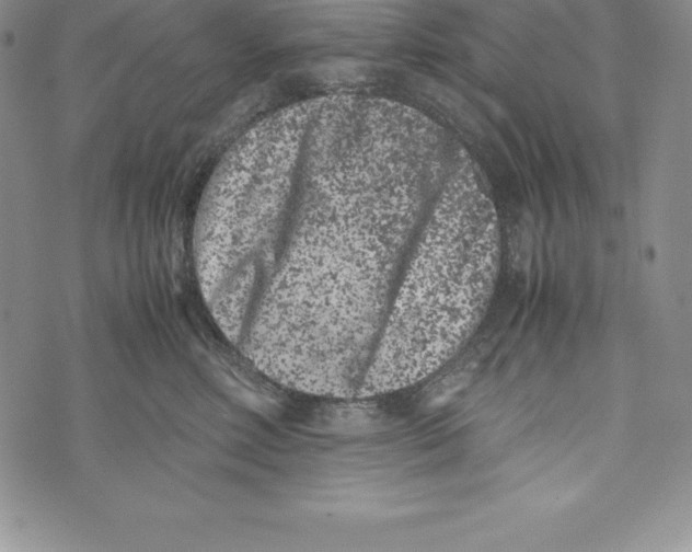 X0000072500618200608041443