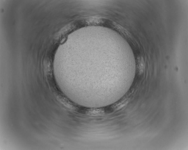 X0000072500619200608041443