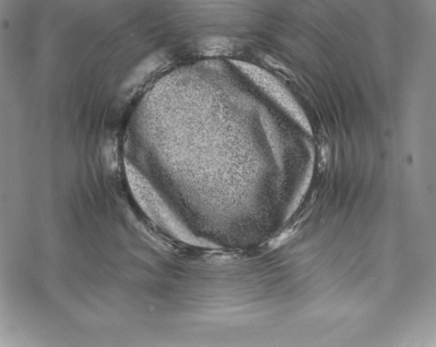 X0000072500620200608041443